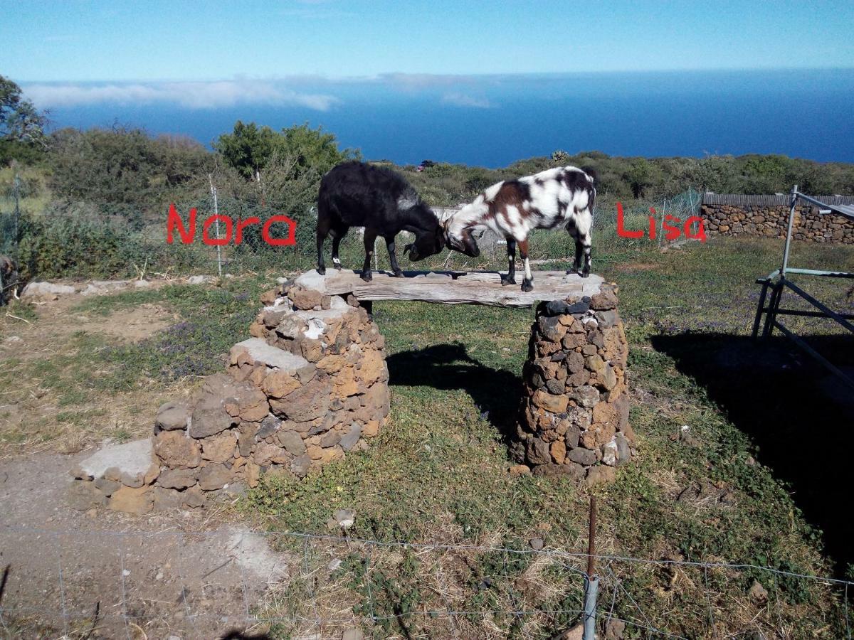 Finca La Ramona Isora Eksteriør billede